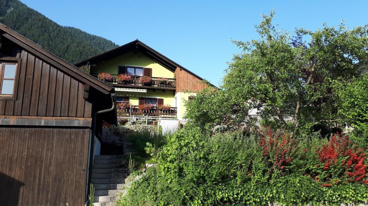 Haus Pilz Lejlighed Obertraun Eksteriør billede